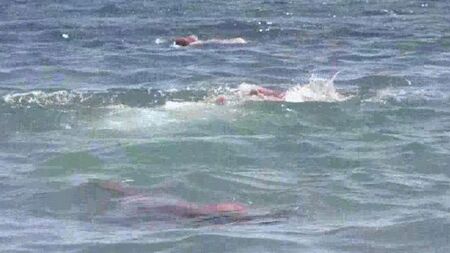 Голая зрелая на пляже