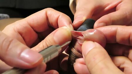 getting frenum piercing cock