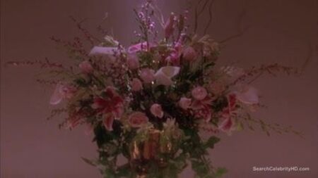 Debi Mazar nude - Money for Nothing