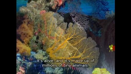 Little Einsteins S01E04 Whale Tale (eng subs)