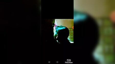 Mohinir chodate dhara guder ros kheyei nilo Barasat