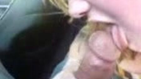 young french bitch suck my dick in car