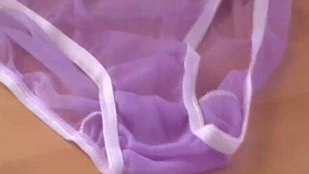 nylon panties