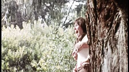 South of the Border (1976, US, full movie, DVD rip)