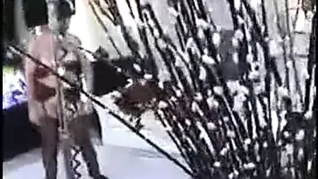 Dear I can t believe you talked me into this