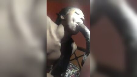 TRANNY DEVOURS Size12 BBC