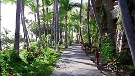 Hotel Erotica Cabo Primal Urge