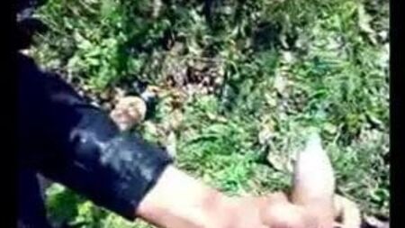 magistralna prostitutka