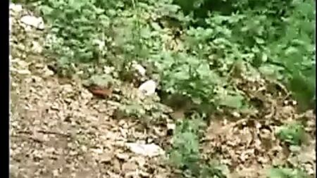 Jebacina na Avali Serbian-Srpski By KRMANJONAC