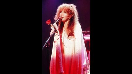 Sexy Stevie Nicks!