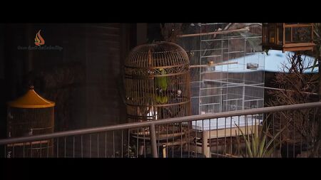 Riki Lindhome - Under the Silver Lake 2018