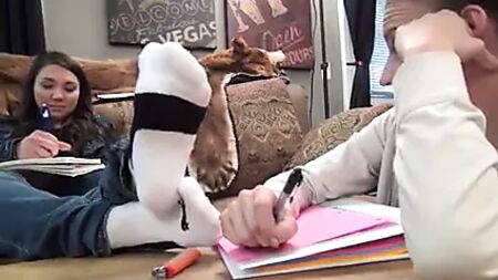 Distracted Lesbian Foot Worship