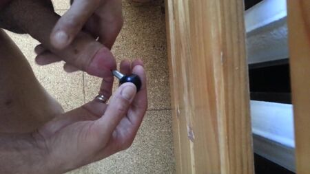 22 cm long penis plug for my cock