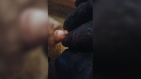 Cum on a black faux fur coat