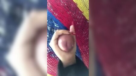 Milking under the hamack