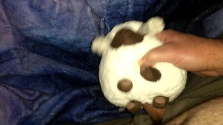 Sex with Pokemon Wooloo plush