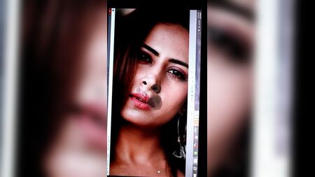 Sargun Mehta Cum Tribute