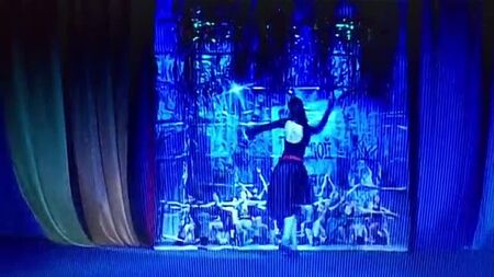 Anastasia Kostenko •The passion 