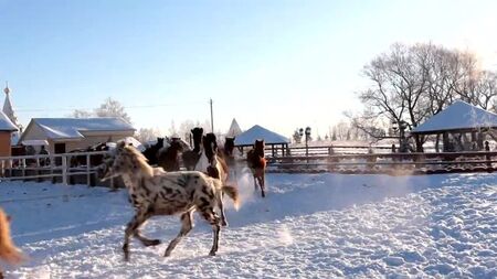 Russian winter. Avanpost