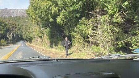 Что сделает если подвезу?