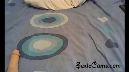 Тестирует игрушки перед вебкой