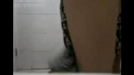 Порно-ролики с китаянками