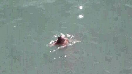 Голая пара на море