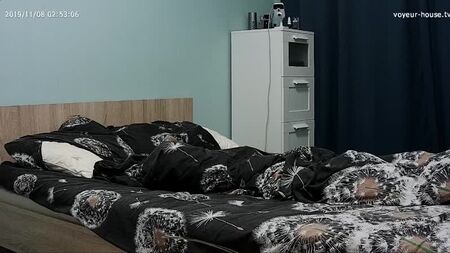 voyeur-house (инет)