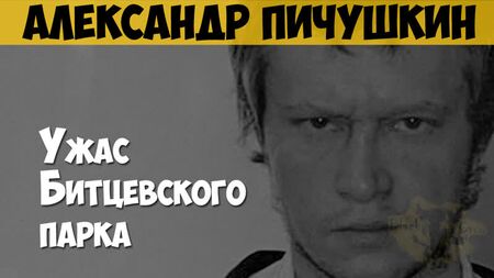 Александр Пичушкин. Серийный убийца, маньяк. Ужас Битцевского парка