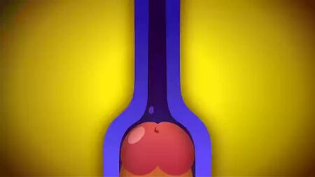 ankha animal crossing