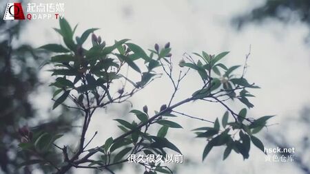 Qidian Media XSJ 007 Sleeping Beauty.Prince Bad Bad Princess Love 