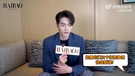 Интервью Сюй Кай Haibao