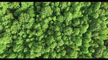 Video by Аудио Рассказы. Истории измен. Истории из жизни.