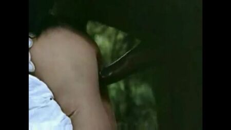 Маша и медведь. Порно версия.