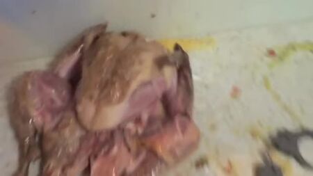 [HowToBasic] How To Stuff a Turkey