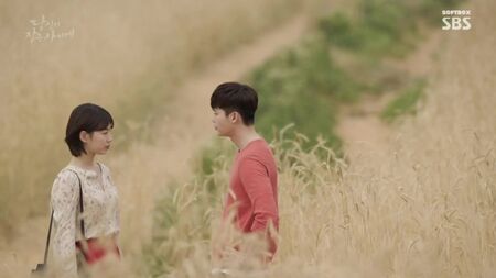 Пока ты спала / Пока ты спишь (21 серия) Озвучка SOFTBOX