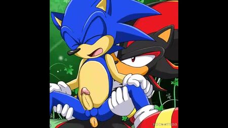 Gay Sonic Sideshow YAOY