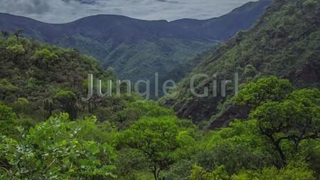 Frog vore girl naked head first