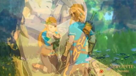 [The Legend Of Zelda] Sableserviette