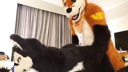 play fursuit with friend