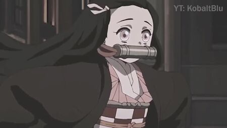 Nezuko Run