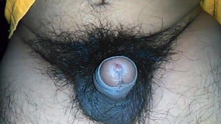 SMALL UNCUT DARK AND VERY HAIRY PENIS