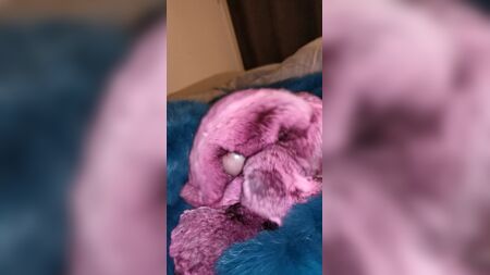 Chinchilla fur cumshot twice in a row